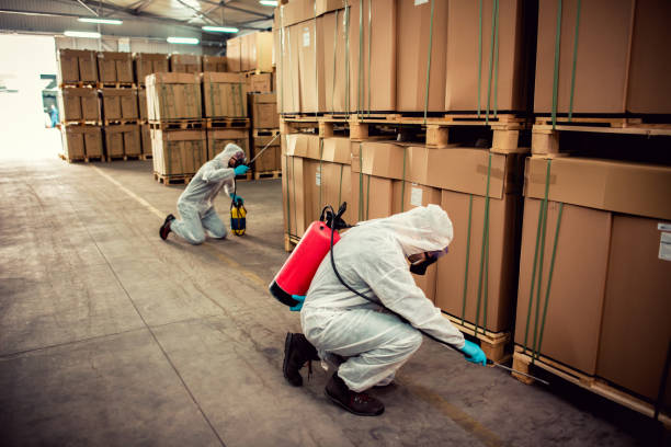 Best Affordable Pest Control Services  in Belvidere, NJ