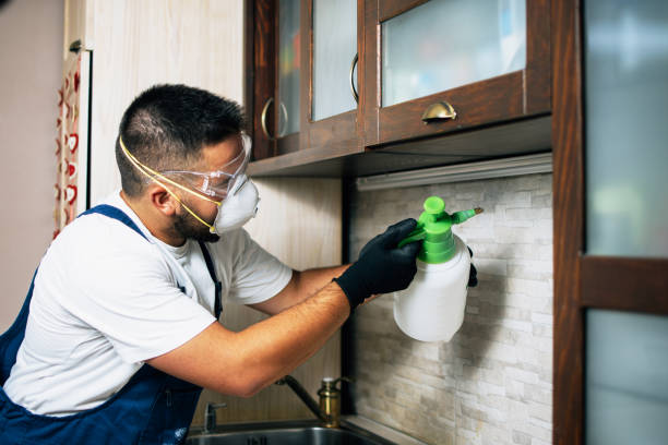 Best Mosquito Control Services  in Belvidere, NJ