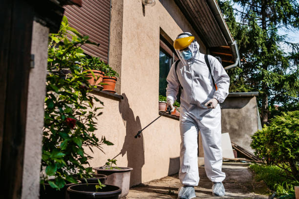 Best Affordable Pest Control Services  in Belvidere, NJ
