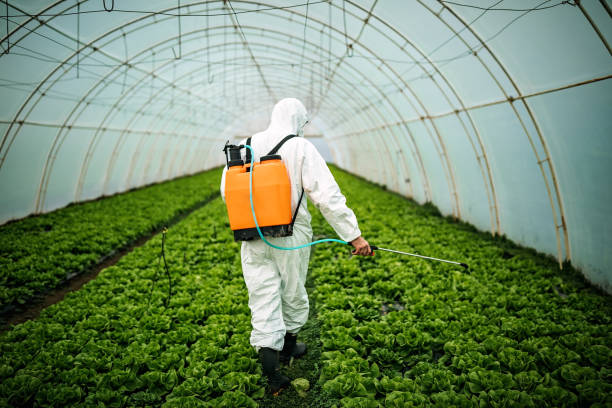 Best Affordable Pest Control Services  in Belvidere, NJ