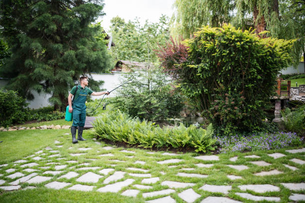 Best Commercial Pest Control Services  in Belvidere, NJ
