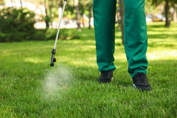 Best Commercial Pest Control Services  in Belvidere, NJ