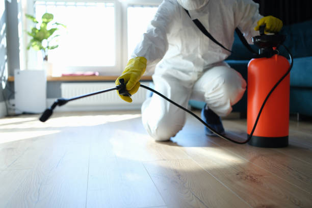 Best Insect Control  in Belvidere, NJ