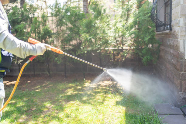Best Flea Control Services  in Belvidere, NJ