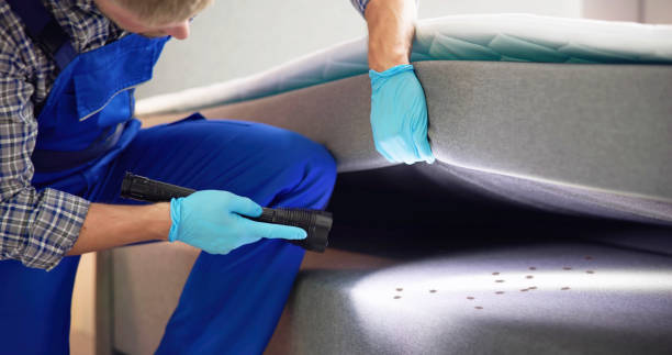Best Pest Control for Homes  in Belvidere, NJ