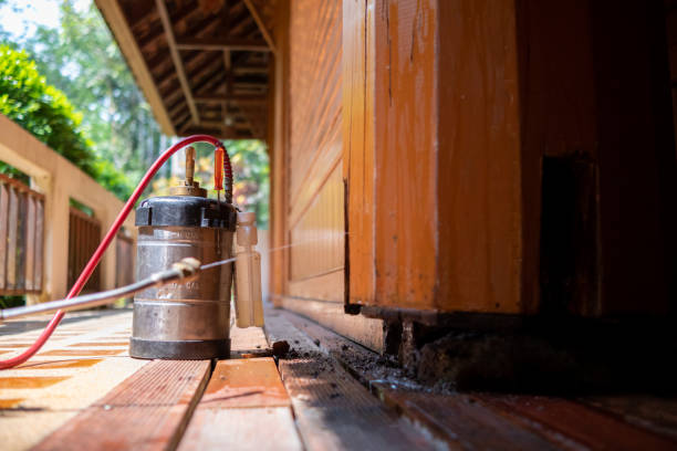 Pest Control Cost in Belvidere, NJ