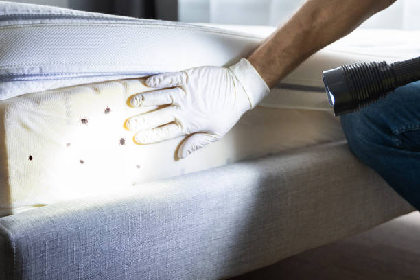 Wildlife Control Services in Belvidere, NJ