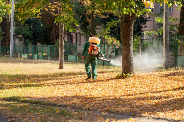 Best Local Pest Control Services  in Belvidere, NJ