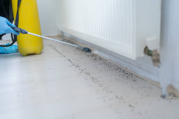 Best Residential Pest Control  in Belvidere, NJ