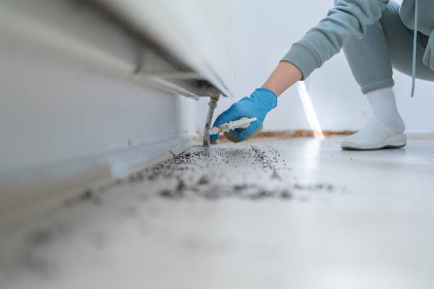 Best Best Pest Control Companies  in Belvidere, NJ